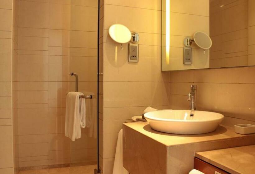 带大床的标准间, Hyatt Pune