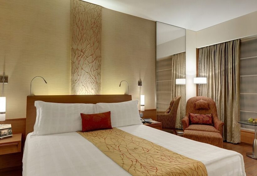 标准间带游泳池, Hyatt Pune