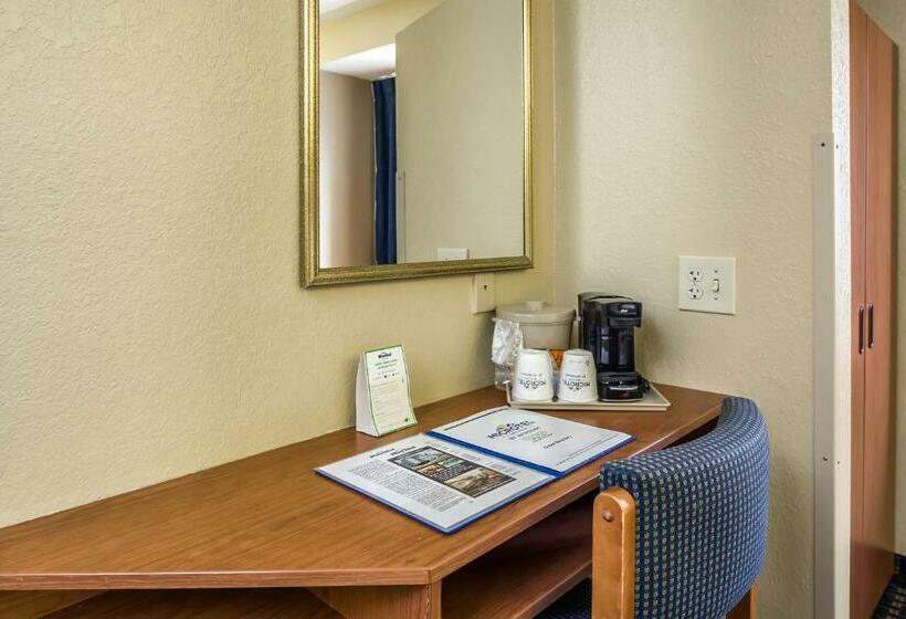 Номер Стандарт, Microtel Inn & Suites Leesburg