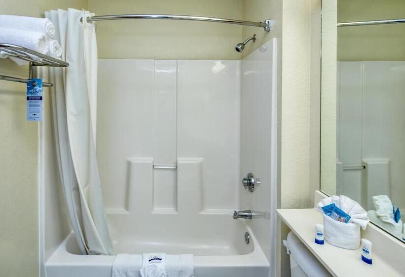 Студия Стандарт, Microtel Inn & Suites Leesburg
