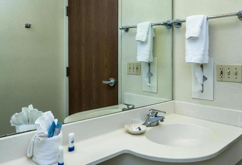스탠다드 스튜디오, Microtel Inn & Suites Leesburg