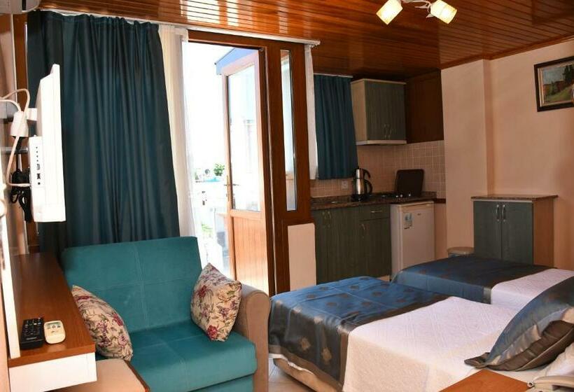 اتاق استاندارد, Aybey Apart
