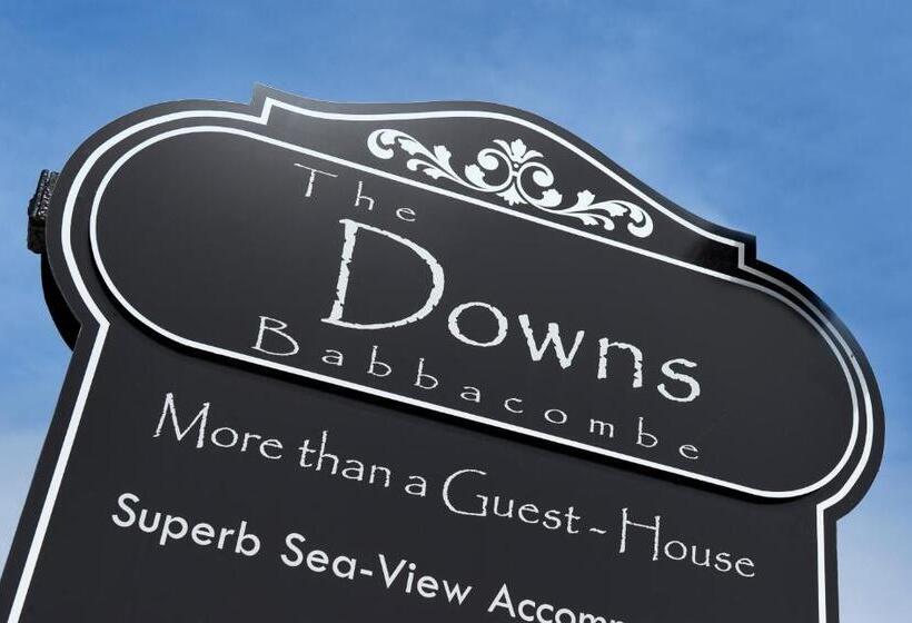 Номер Basic, The Downs, Babbacombe