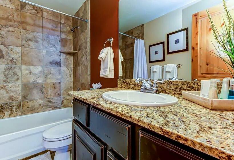 آپارتمان 3 خوابه, Bear Hollow Condo #4308