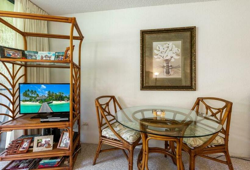 Апартаменты 1 Спальня, Paki Maui 202a
