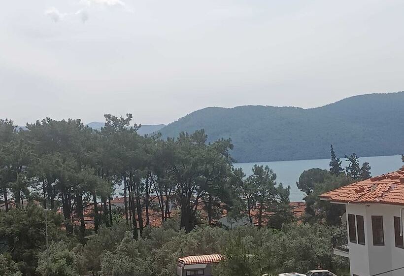 Номер Стандарт, Summer Otel