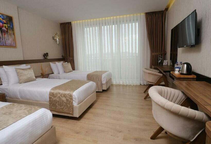 اتاق لوکس, Trademark Collection By Wyndham Operla Airport Hotels