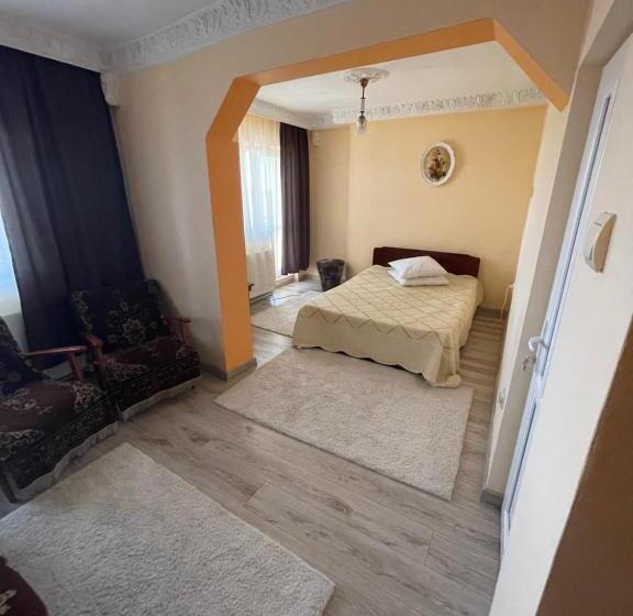 استودیوی استاندارد, Motel Orion