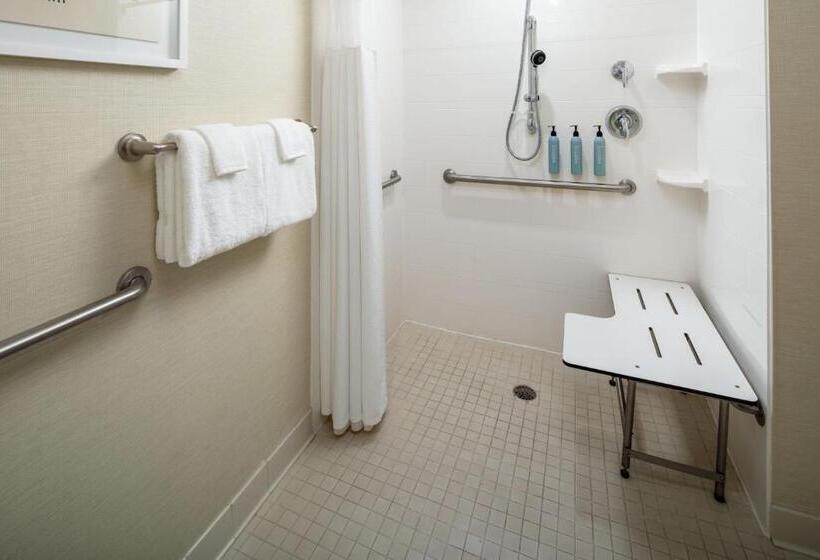 带大床的套房, Courtyard By Marriott Charleston Downtown/civic Center