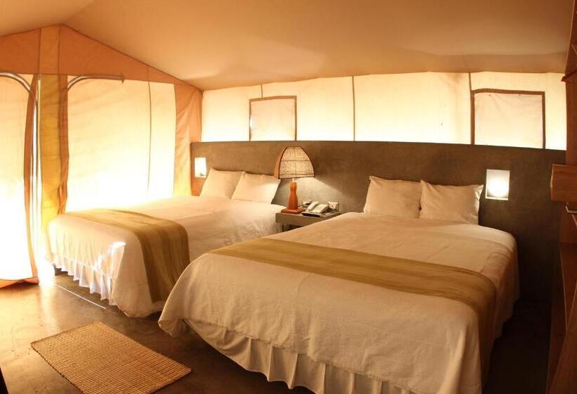 چادر با خدمات رفاهی استاندارد, Vichayito Bungalows & Carpas