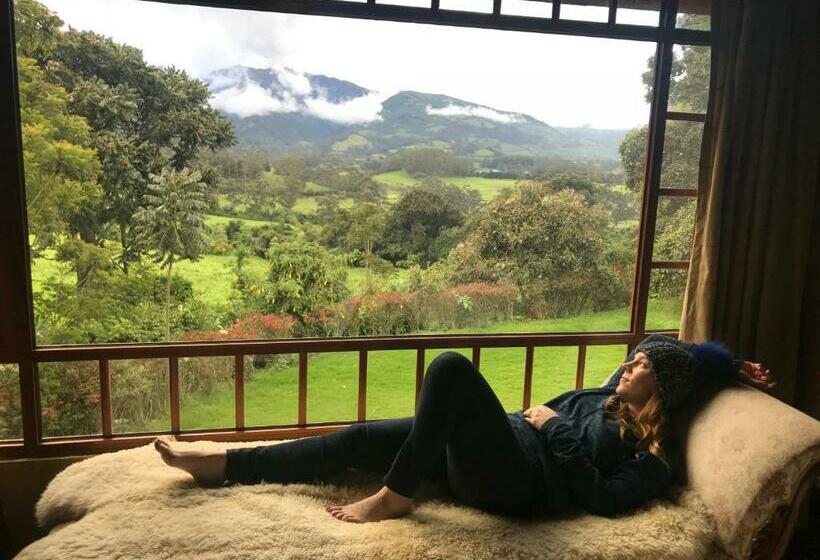 Номер Стандарт, Hacienda La Alegria