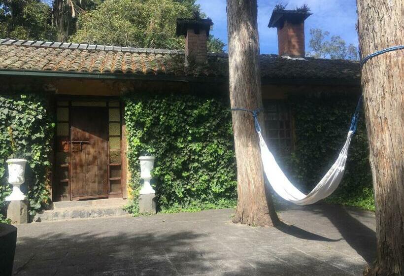 Номер Стандарт, Hacienda La Alegria
