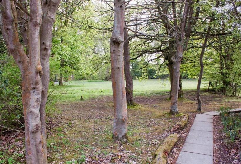 اتاق استاندارد یک نفره, Bankton House