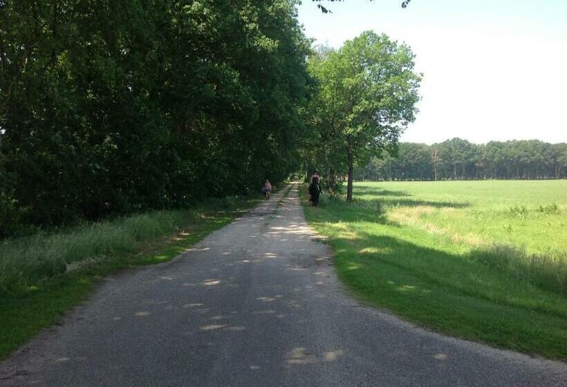 스탠다드 룸 킹사이즈 침대, B&b De Handwijzer Hengelo