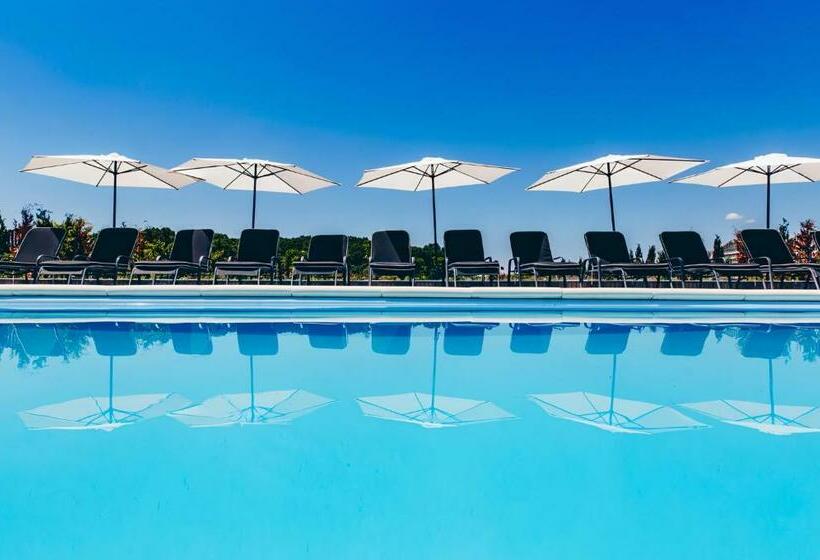 Номер Стандарт, Youness Wellness Clinic & Retreats