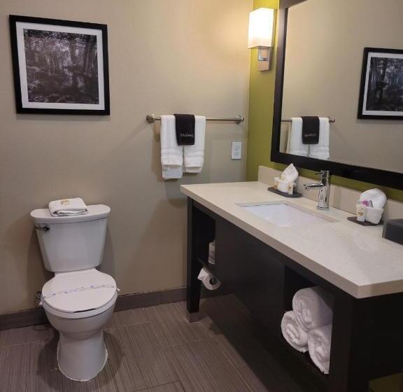 スタンダードルーム, La Quinta By Wyndham Tyler   University Area