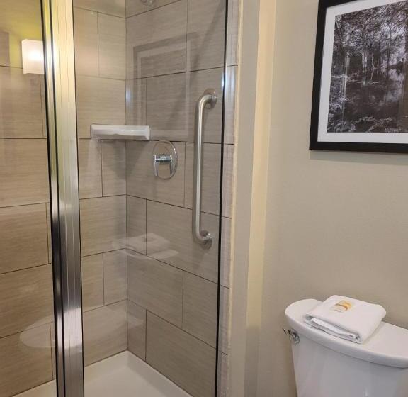 Люкс Deluxe Кровать Кинг, La Quinta By Wyndham Tyler   University Area