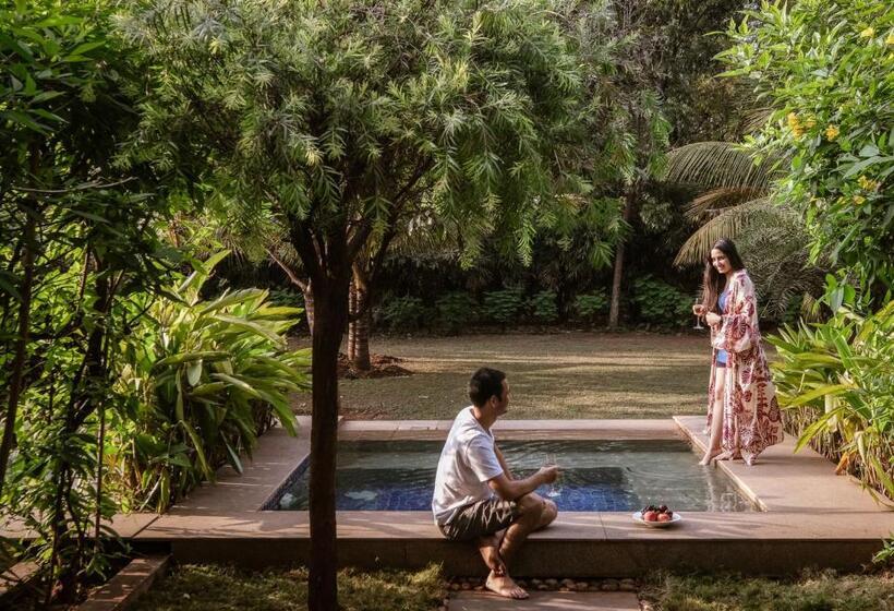 带大床的标准间, Hyatt Place Hampi