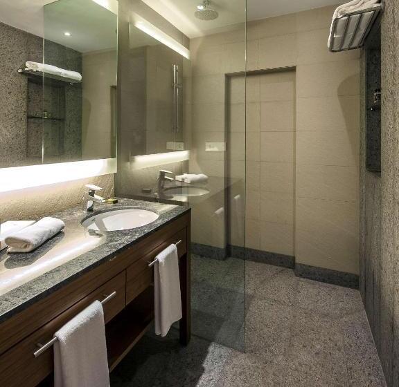 标准间, Hyatt Place Hampi