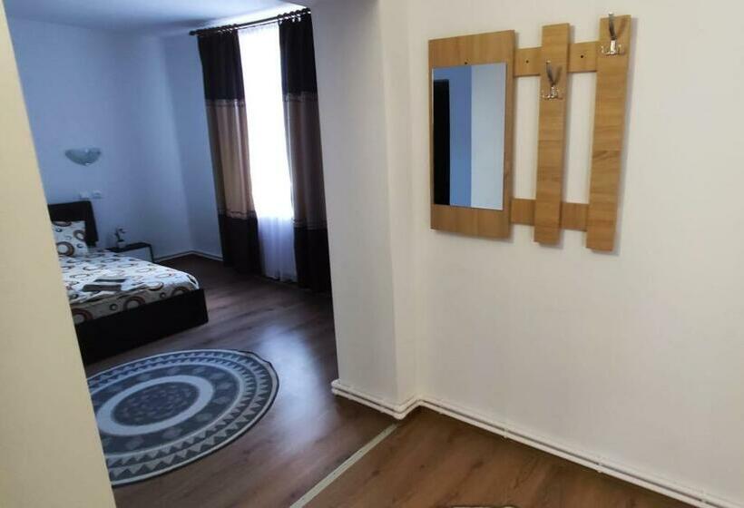 Номер Стандарт, Pensiunea Narcisa Cu Ciubar