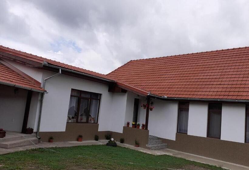 Дом 3 Спальни, Pensiunea Narcisa Cu Ciubar