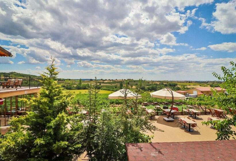 Стандартный Номер Кровать Кинг, Dessera Vineyards