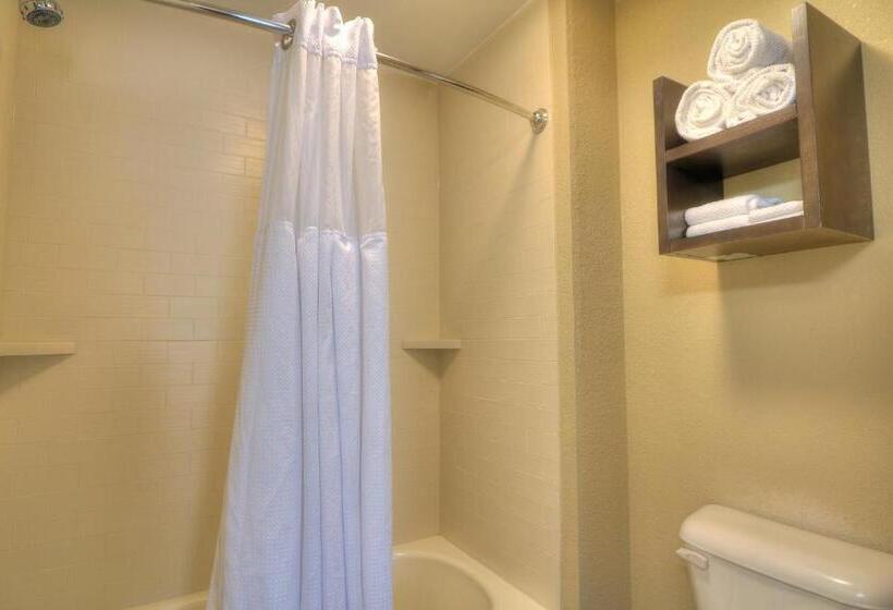 Люкс, Staybridge Suites Knoxville West, An Ihg
