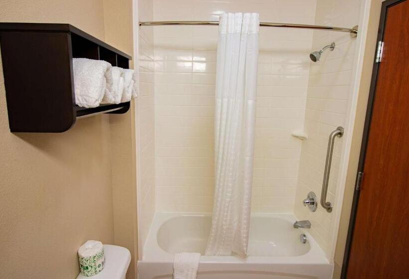 سوئیت با تخت بزرگ, Surestay Plus Hotel By Best Western Owasso Tulsa North