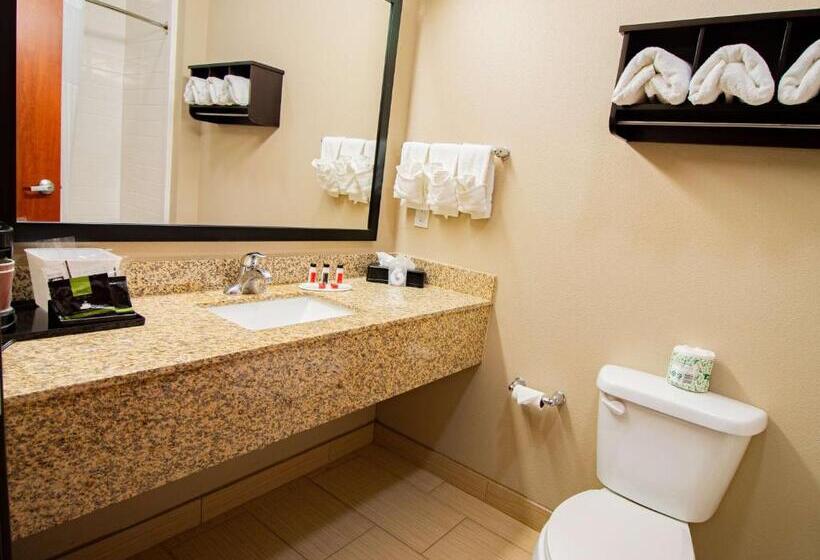 سوئیت با تخت بزرگ, Surestay Plus Hotel By Best Western Owasso Tulsa North