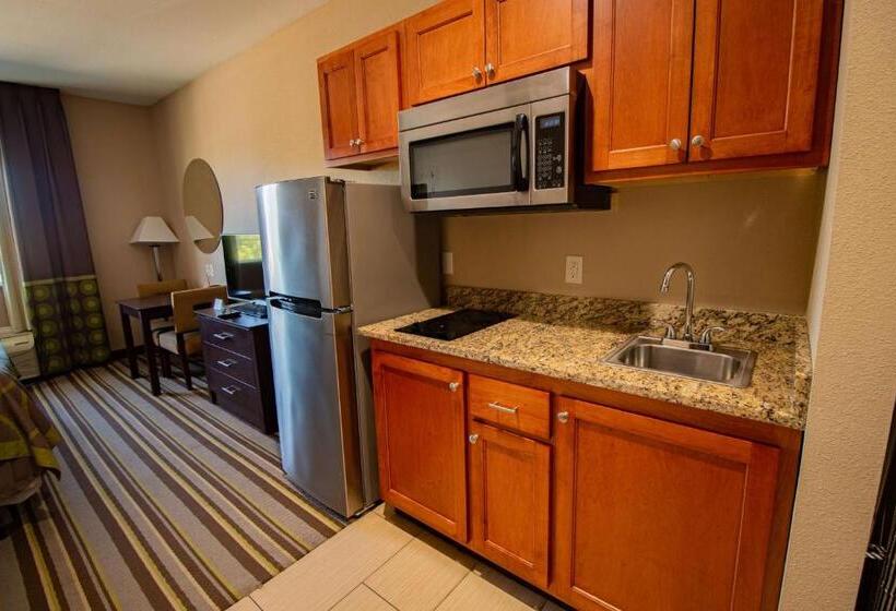 سوییت لوکس, Surestay Plus Hotel By Best Western Owasso Tulsa North