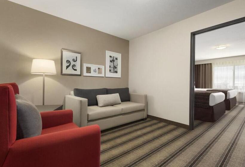 سوئیت با تخت بزرگ, Country Inn & Suites By Radisson, Springfield Southeast