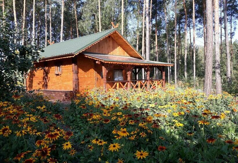 Шале 1 Спальня, Sosenka