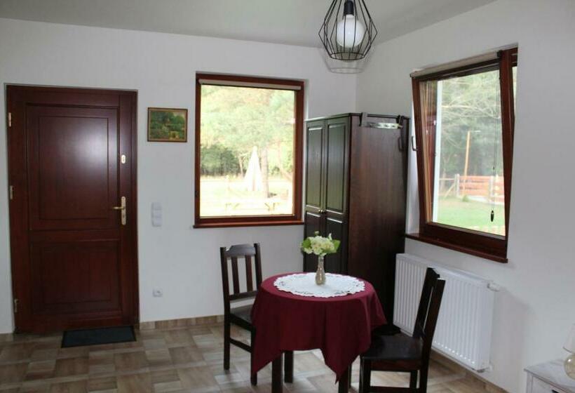 带露台的小型套房, Koci Grzbiet Agroturystyka