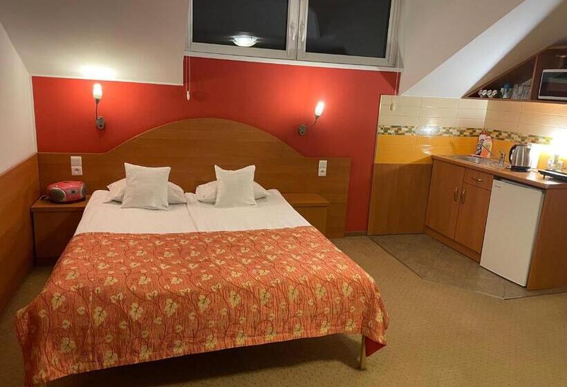 استودیوی استاندارد, Willa Stenia Center Apartamenty