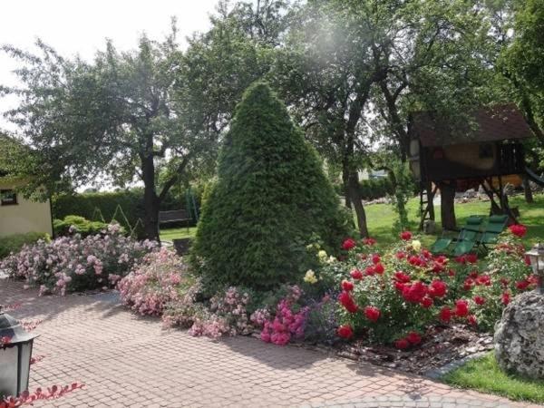 Апартаменты 1 Спальня с Террасой, Skalny Apartamenty, Pokoje