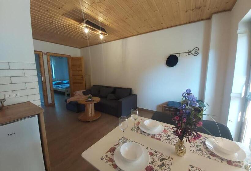 آپارتمان 1 خوابه با تراس, Leśny Dwór Bieszczady   Sauna I Gorąca Balia
