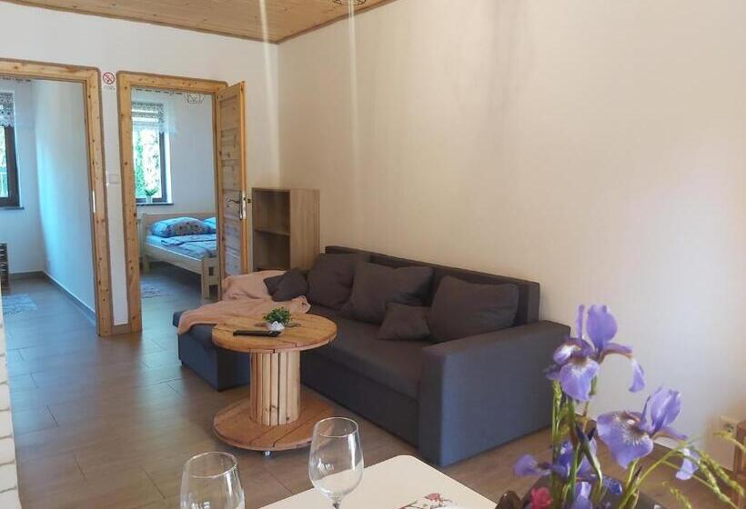 آپارتمان 1 خوابه با تراس, Leśny Dwór Bieszczady   Sauna I Gorąca Balia