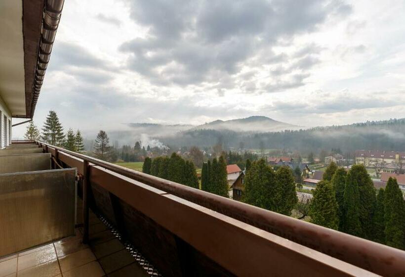 اتاق استاندارد با بالکن, Perełka Bieszczady
