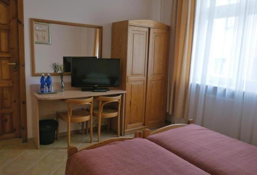 Номер Basic, Kamienica Sporting