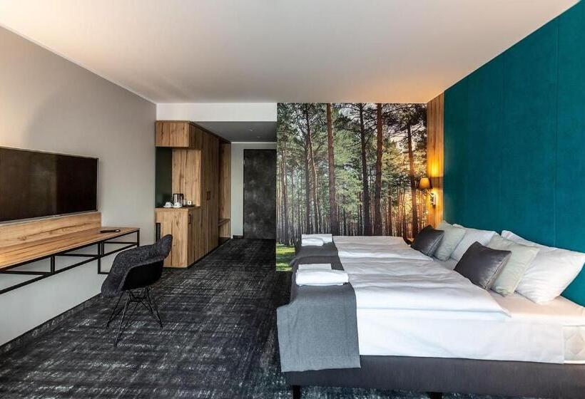 Superior room with lake view, Otton Charzykowy Bed&restaurant
