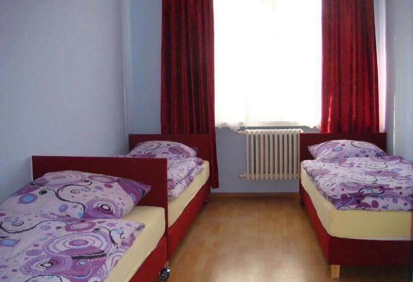 اتاق استاندارد چهار تخته, Hostel Omega