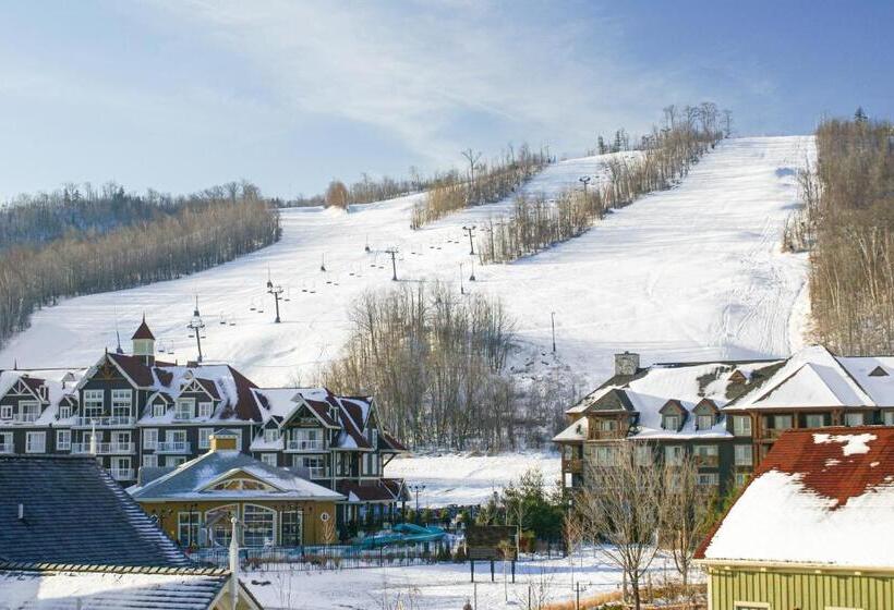 스탠다드 스튜디오, Condo 904 At North Creek Resort