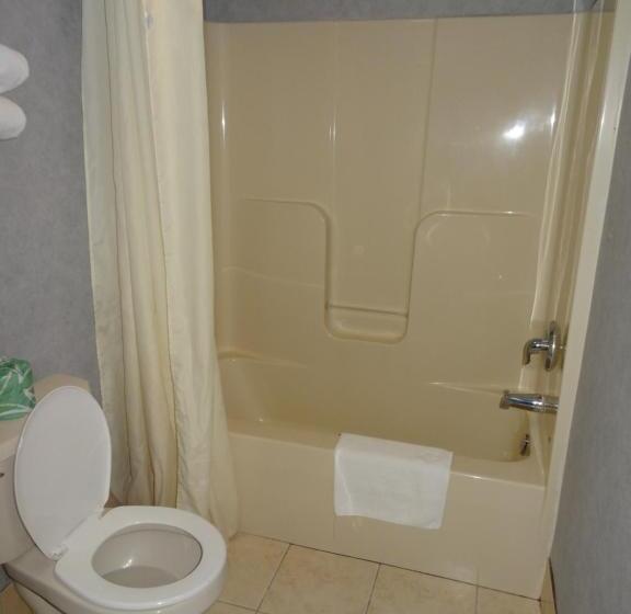 Номер Deluxe Кровать Кинг, Village Inn And Suites