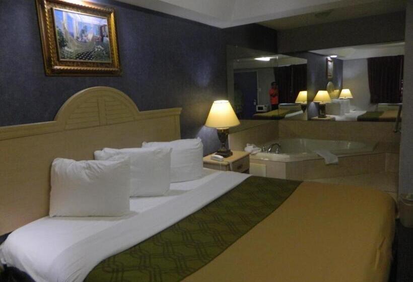 스탠다드 룸 킹사이즈 침대, Village Inn And Suites