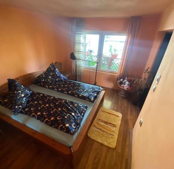 Номер Стандарт, Casa Otilia