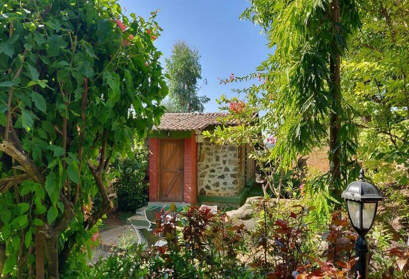 Студия Стандарт, Anandvan Resort