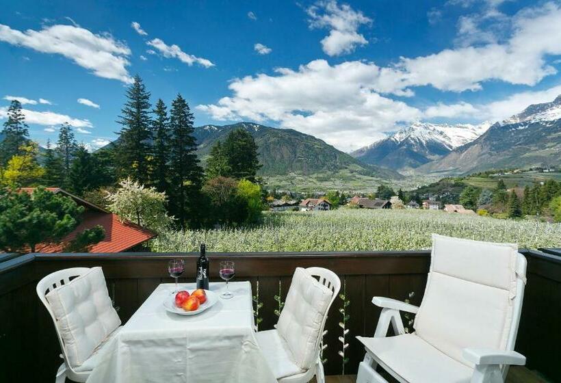 Номер Стандарт с Балконом, Pension Riedingerhof