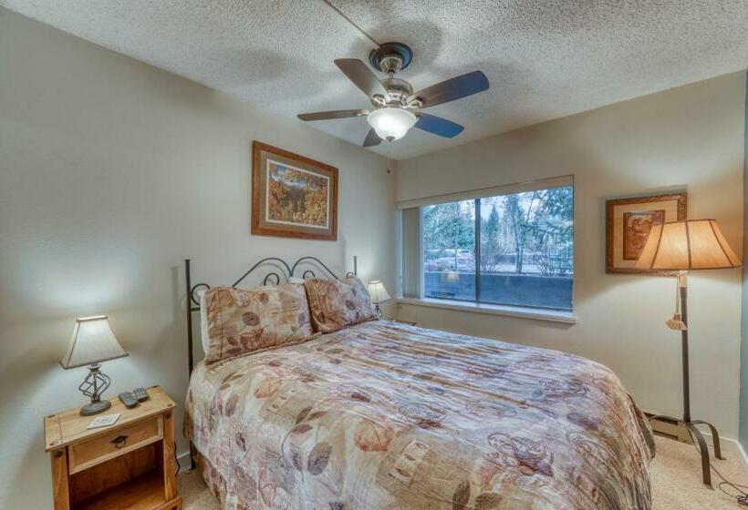 דירת שני חדרים, Powderhorn Condo
