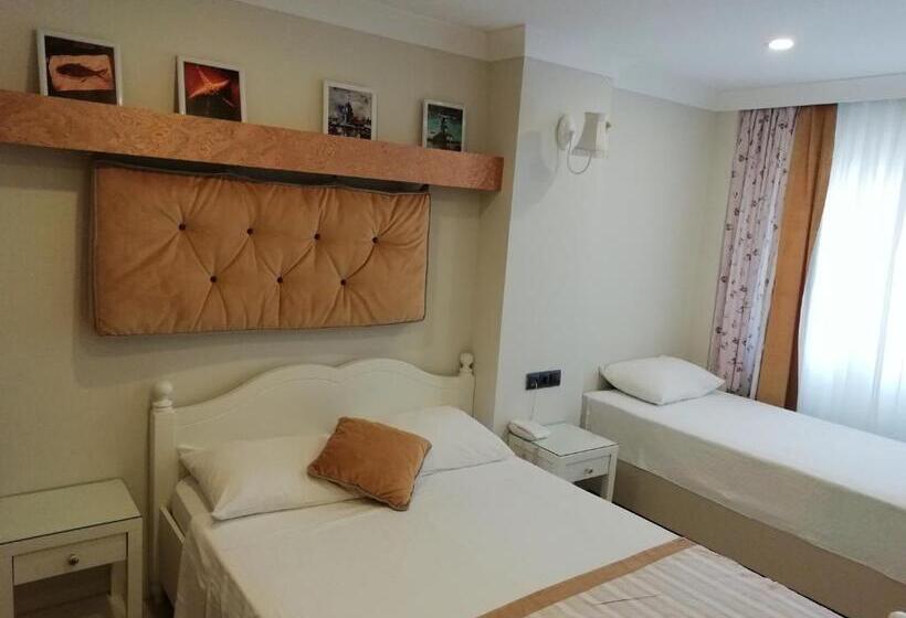 اتاق استاندارد سه نفره, Just Inn
