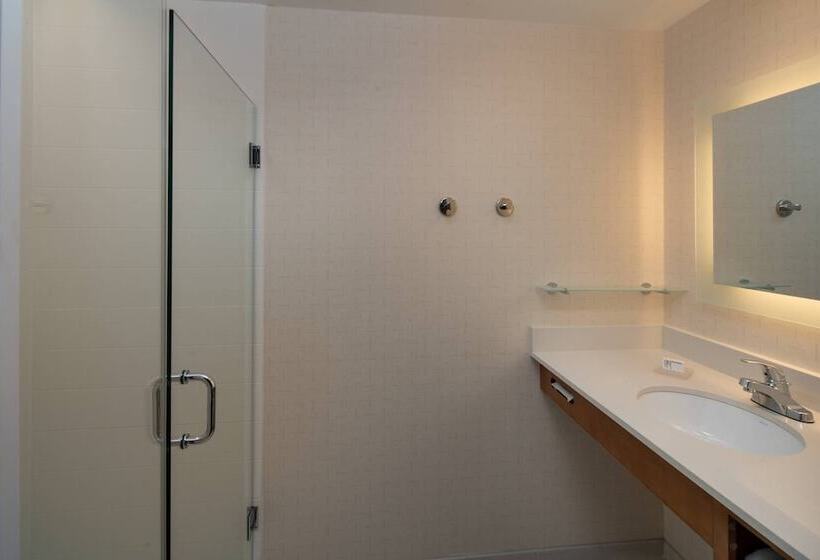 Люкс, Springhill Suites By Marriott Nashville Vanderbilt/west End